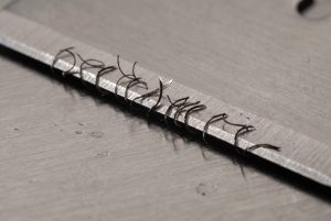 Short curled beard hairs caught along the sharp edge of a razor blade on a steel surface